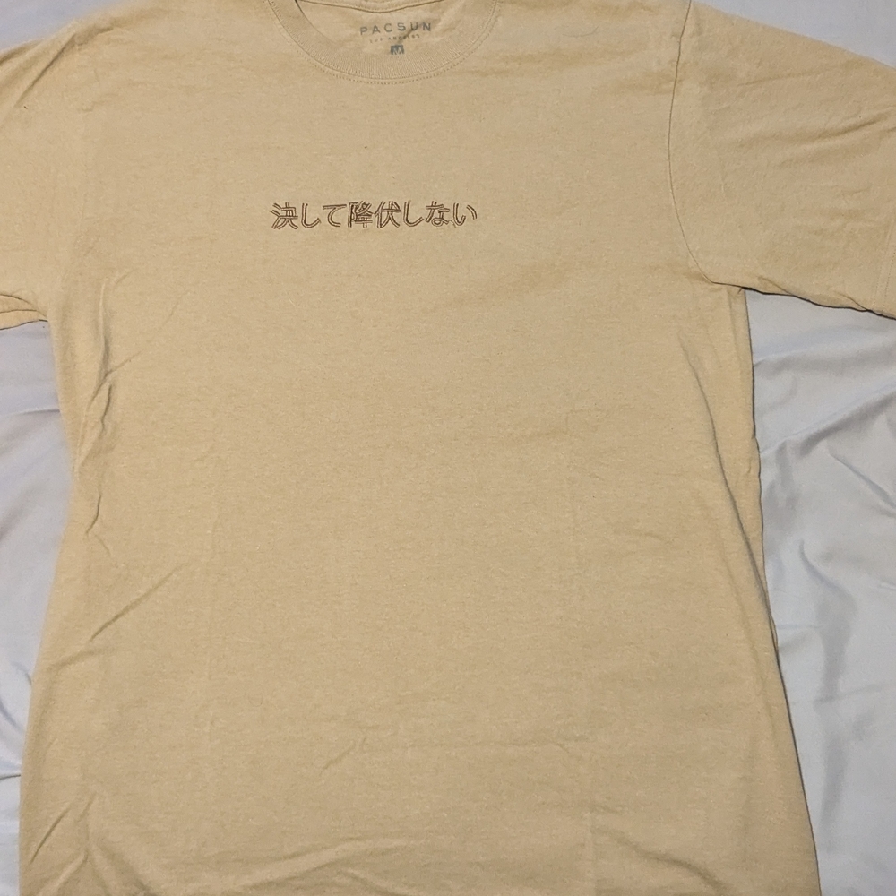 PacSun Tan Short Sleeve Tee